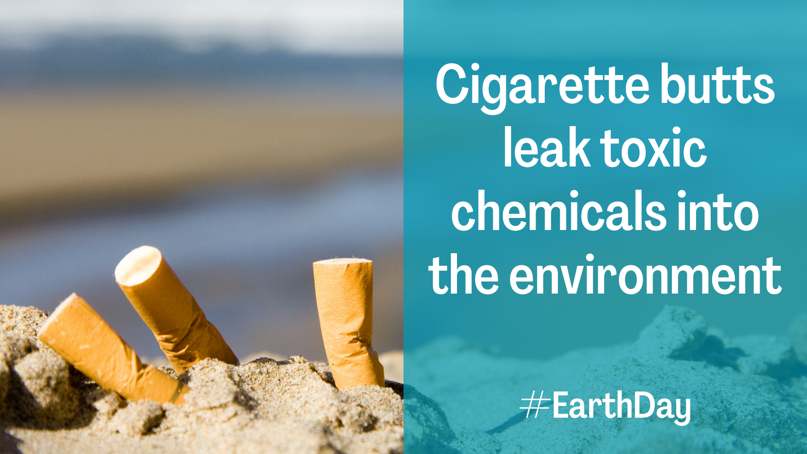 Cigarette butts leak toxic chemicals into the environment #EarthDay
